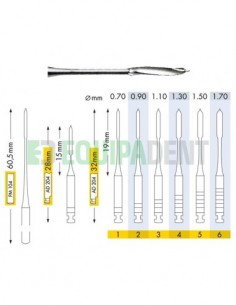 FRESAS PEESO LARGO...