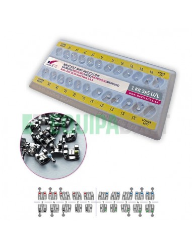 KIT BRACKETS METALICOS MINI ROTH 0,22"