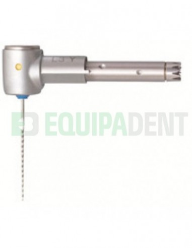 Cabeza INTRA Endo L3 Y