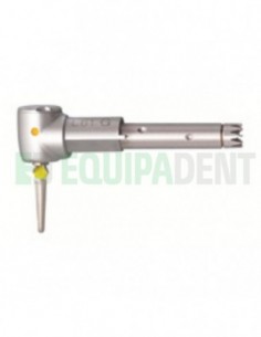 Cabeza INTRA EVA L61 G