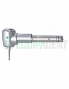 Cabeza INTRA L66 B 2