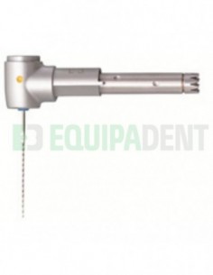 Cabeza INTRA Endo L3 2