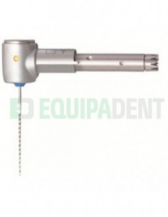 Cabeza INTRA Endo L3 Y 2