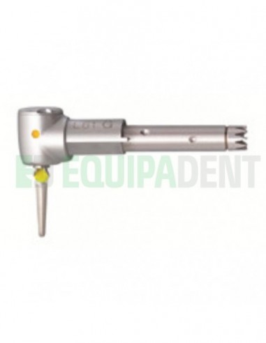 Cabeza INTRA EVA L61 G