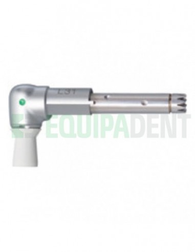 Cabeza INTRA Prophy L31